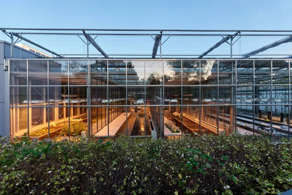 Greenhouse at Institut für Pflanzenphysiologie und Zellbiologie der Freien Universität -- — Berlin
