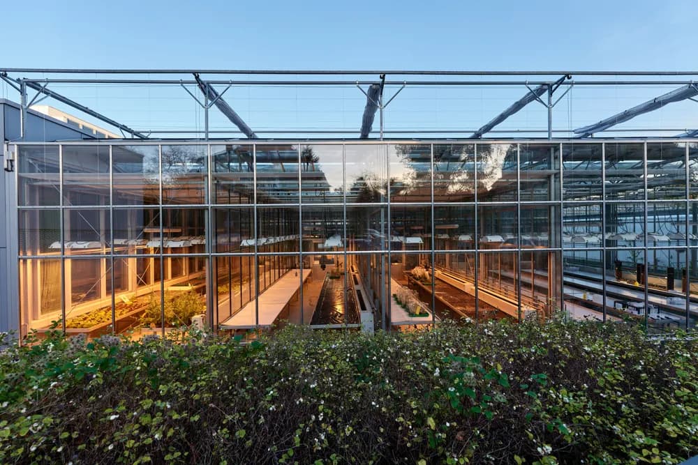 Greenhouse at Institut für Pflanzenphysiologie und Zellbiologie der Freien Universität -- — Berlin