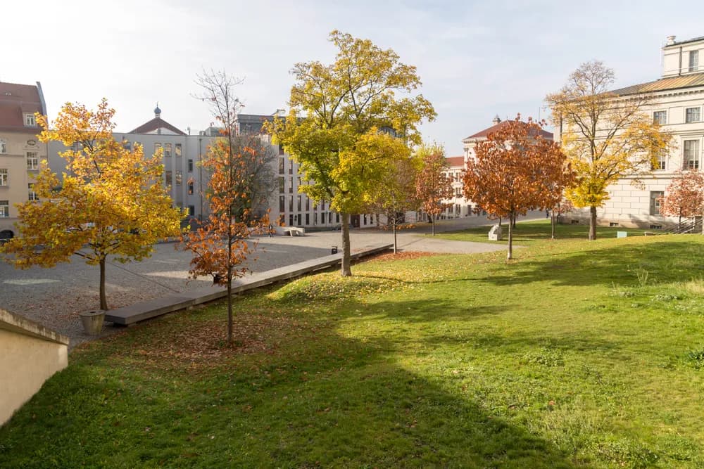 Martin Luther Universität Halle-Wittenberg - MLU Universitätsplatz Innenstadt Halle - panoramio — Halle (Saale)